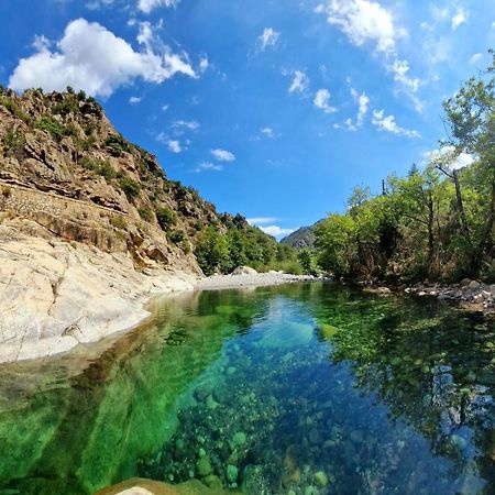 Vila Domaine U Filanciu - Casa Ghjulia - Centru Di Corsica Moltifao Exteriér fotografie