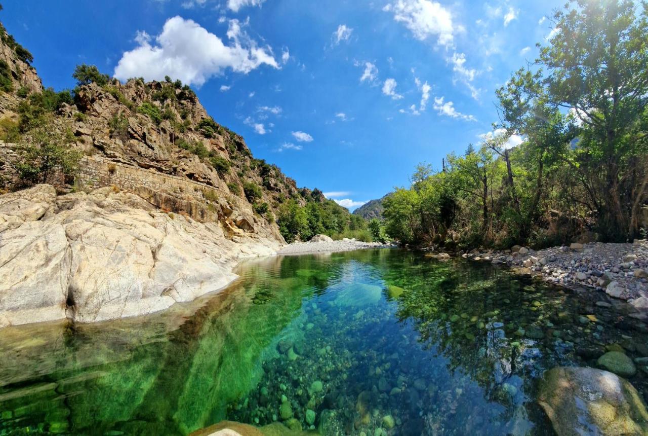 Vila Domaine U Filanciu - Casa Ghjulia - Centru Di Corsica Moltifao Exteriér fotografie